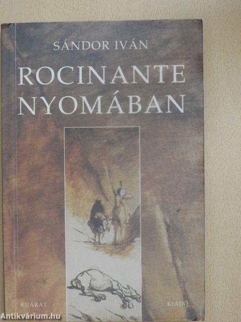 Rocinante nyomában