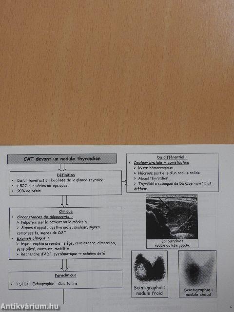 Endocrinologie Nutrition