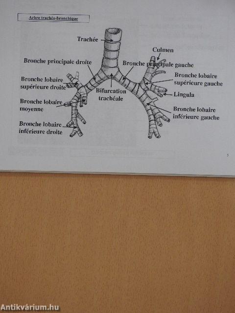 Pneumologie