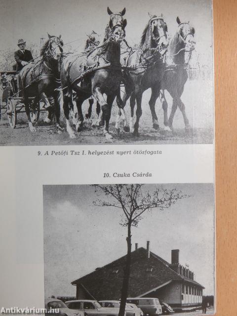 Csongrád és vidéke