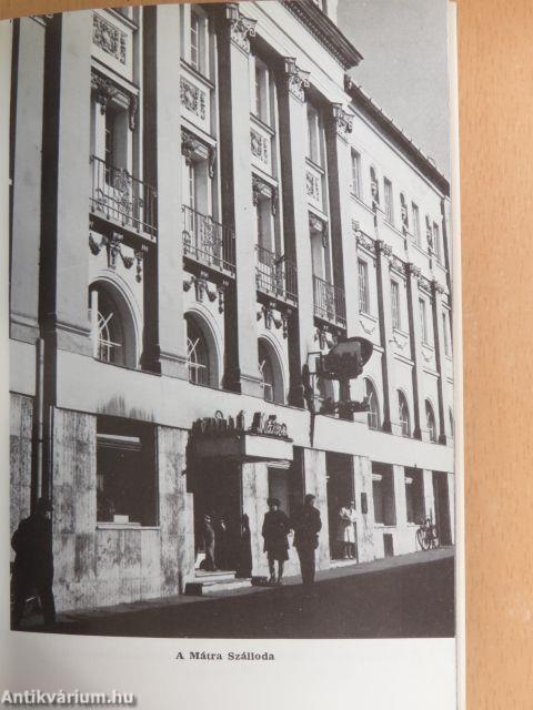 Gyöngyös és a Mátra