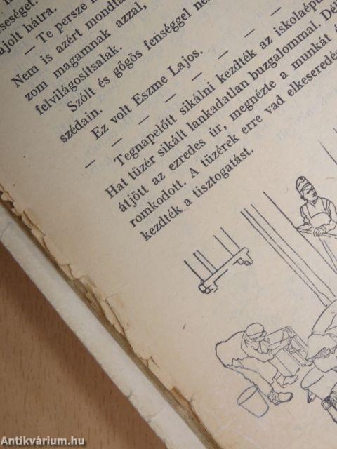 Egy önkéntes naplója