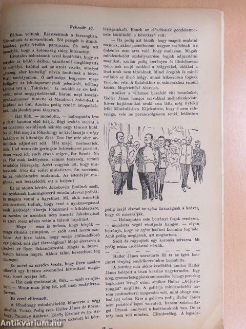 Egy önkéntes naplója