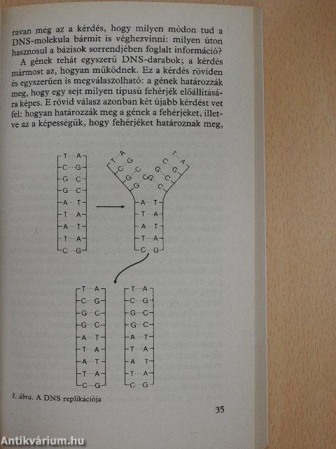 Kulcskérdések a biológiában