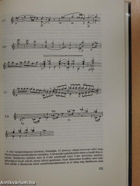 Beethoven és kilenc szimfóniája