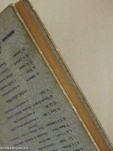 A vadembertől a civilizációig