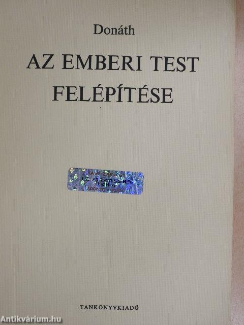 Az emberi test felépítése