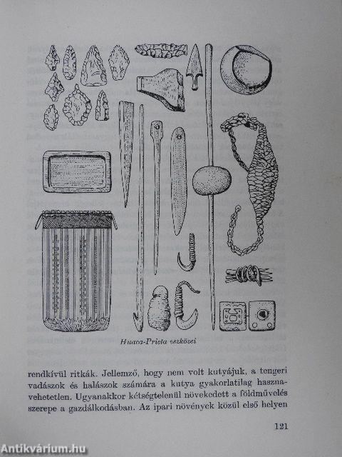 Egy kőkori település Közép-Ázsiában: Dzsejtun