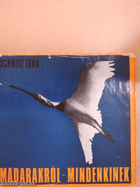 Madarakról - Mindenkinek