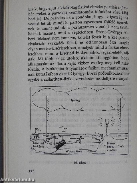 Válogatott tanulmányok