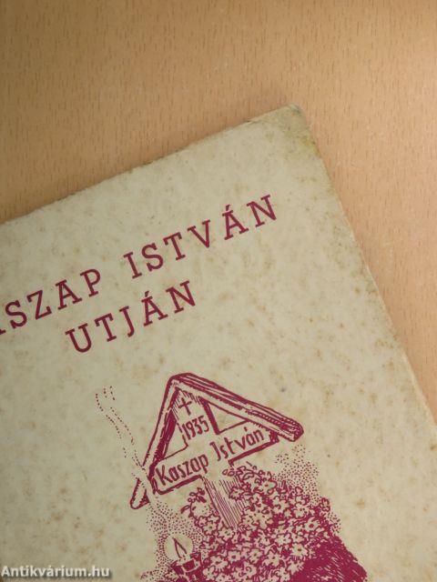 Kaszap István útján