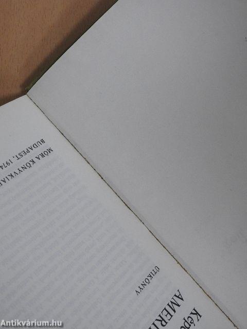 Képeslapok Amerikából