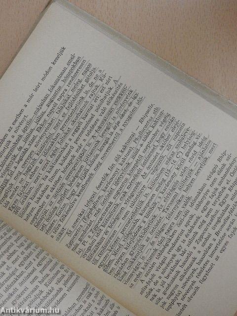 Kaktuszok, pozsgás növények