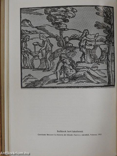 Az Újvilág hajósai