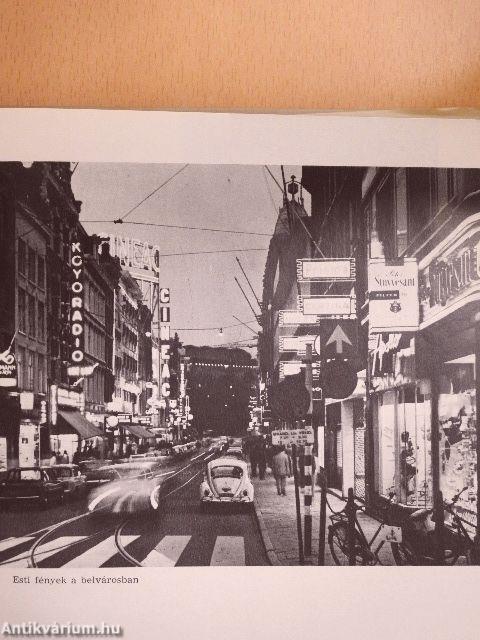 Pillantás Hollandiára