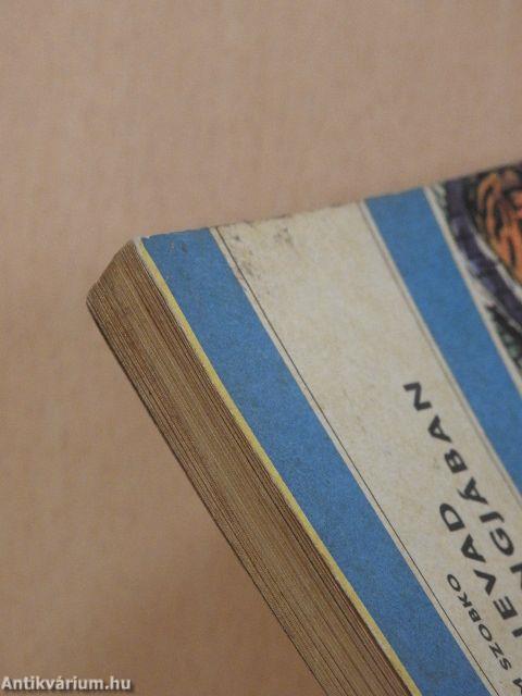 A fenevad barlangjában