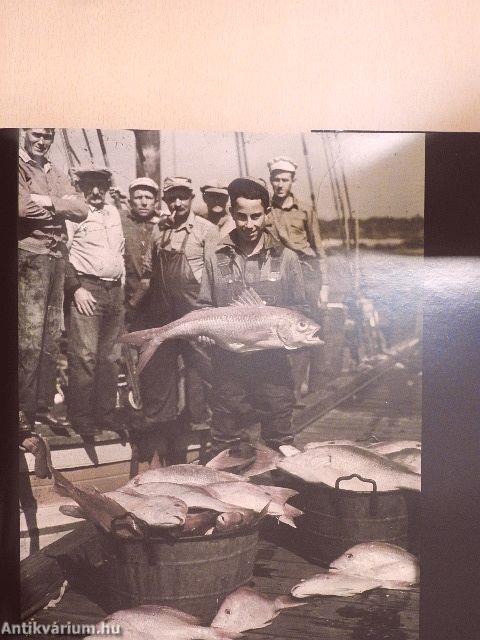 Válogatott portrék