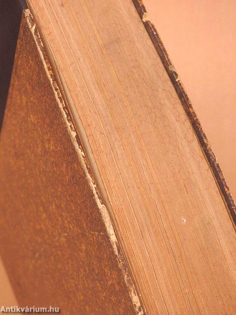 Vasárnapi Ujság 1904. (nem teljes évfolyam)/A Vasárnapi Ujság Regénytára 1904. január-december