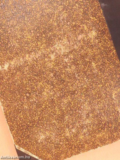 Vasárnapi Ujság 1905. (nem teljes évfolyam)/A Vasárnapi Ujság Regénytára 1905. január-december