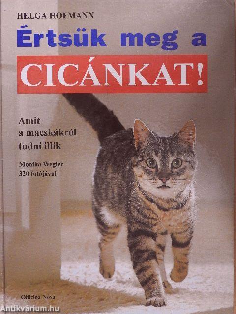 Értsük meg a cicánkat!