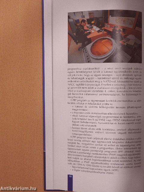 Tíz éve a NATO-ban