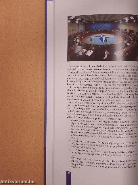 Tíz éve a NATO-ban