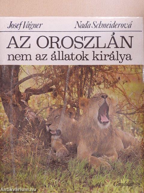 Az oroszlán nem az állatok királya