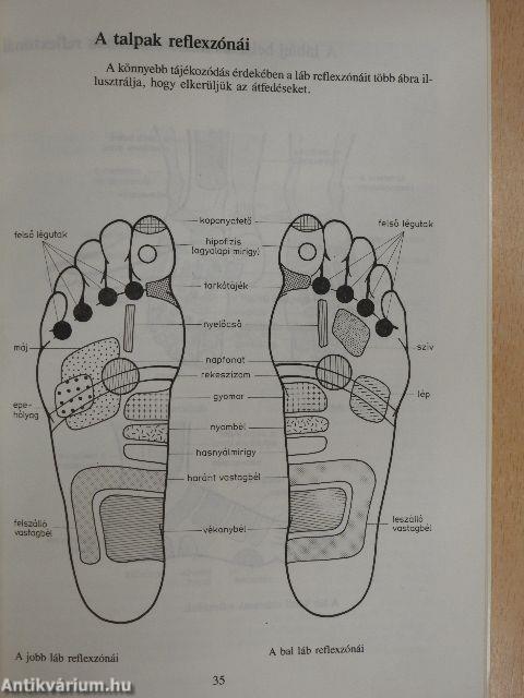 Reflexzóna-masszázs mindenkinek