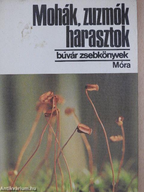 Mohák, zuzmók, harasztok