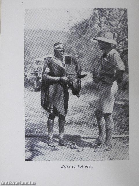 Fokvárostól Kairóig