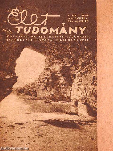 Élet és Tudomány 1955. (nem teljes évfolyam) I-II. 