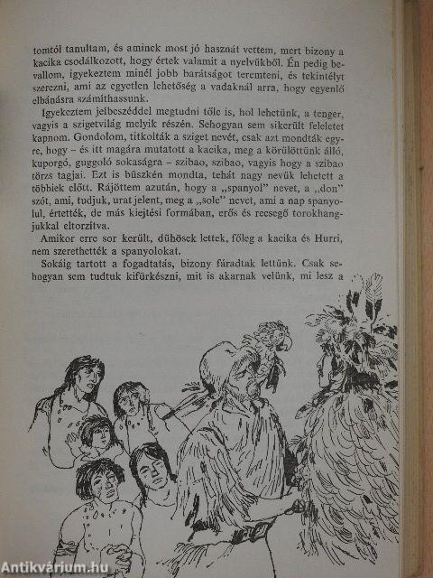 Robinson utolsó kalandja