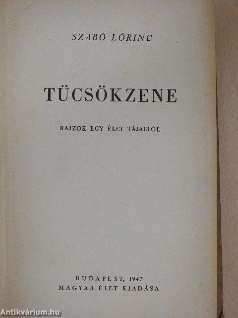 Tücsökzene