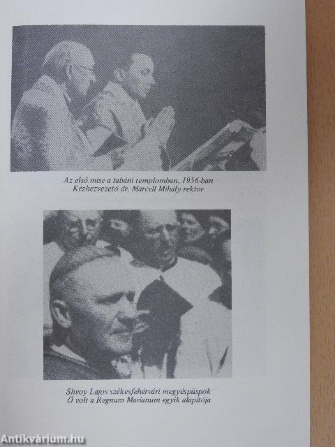 Értetek és miattatok