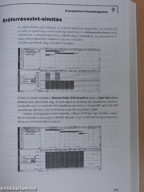 Microsoft Project 2002 lépésről lépésre - CD-vel