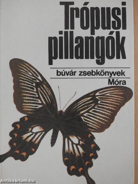 Trópusi pillangók