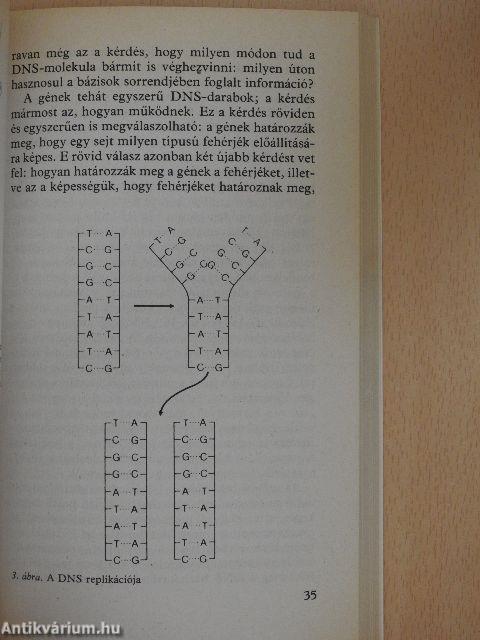 Kulcskérdések a biológiában