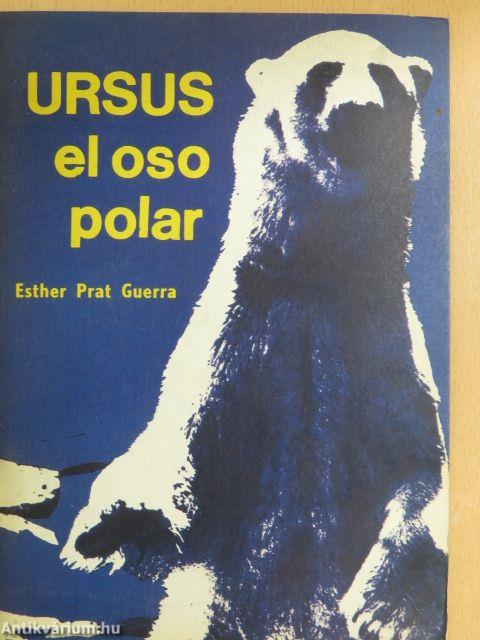 Ursus el oso polar