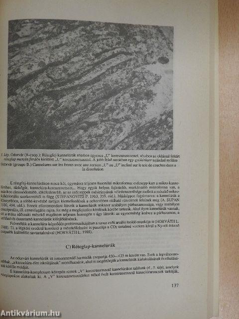 Földrajzi Értesítő 1991/1-2.