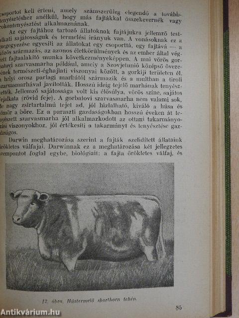 Általános állattenyésztés