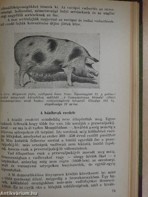Általános állattenyésztés