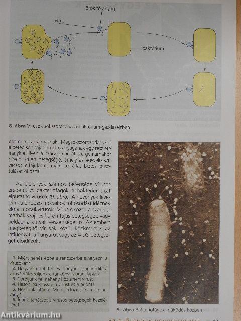 Biológia 10.