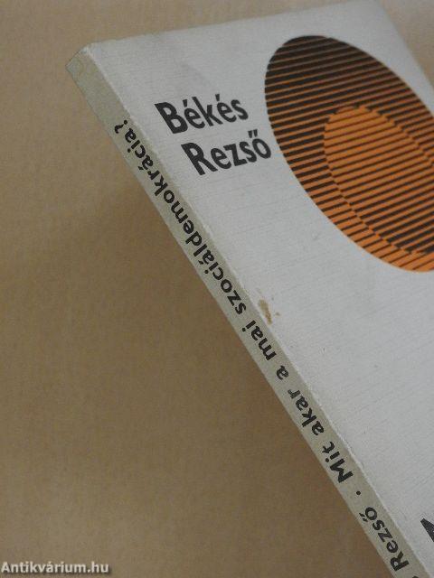 Mit akar a mai szociáldemokrácia?