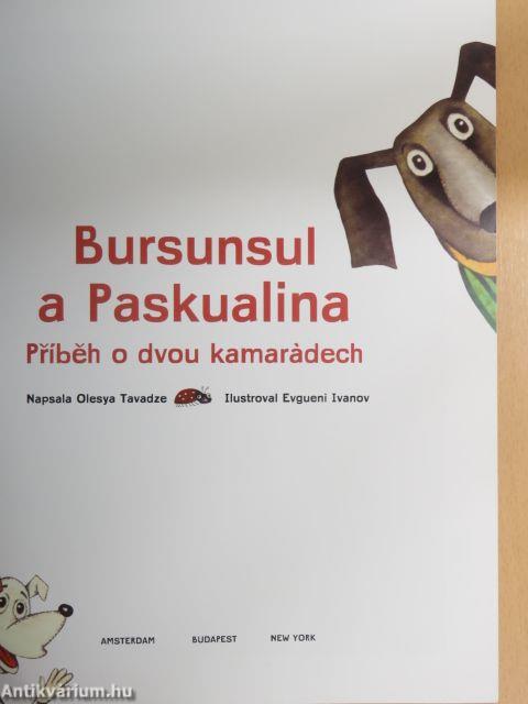 Bursunsul a Paskualina