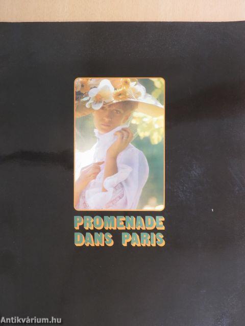 Promenade dans Paris