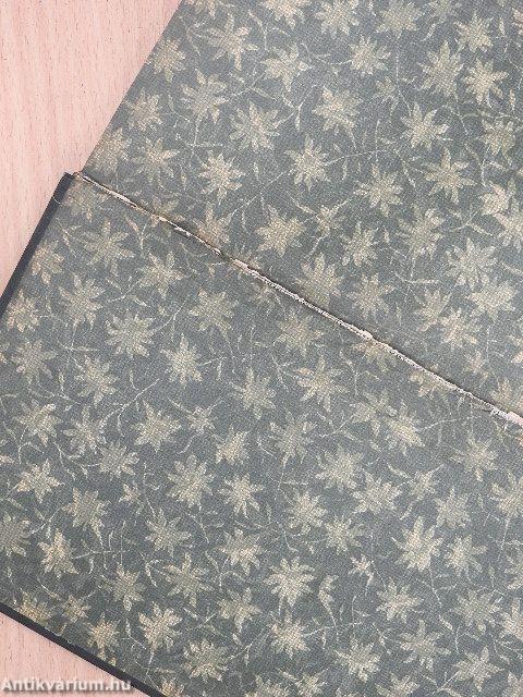 Az Érdekes Ujság Dekameronja VI. (töredék)