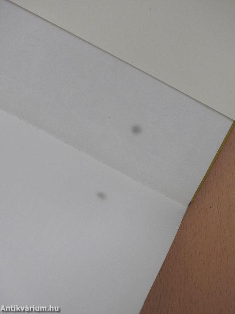 Romantikus zeneszerzők