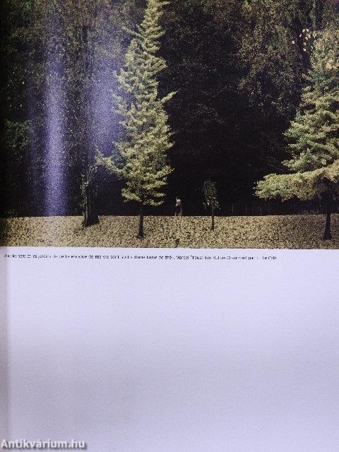 Promenade dans Paris