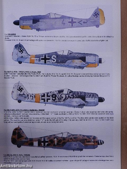 Focke-Wulf Fw 190 F, G