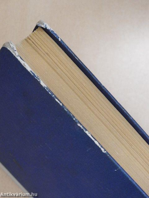 A párizsi Notre-Dame